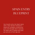 SPAIN ENTRY BLUEPRINT