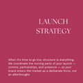 LAUNCH STRATEGY